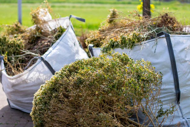 Professional Junk Removal Services in Sonora, CA